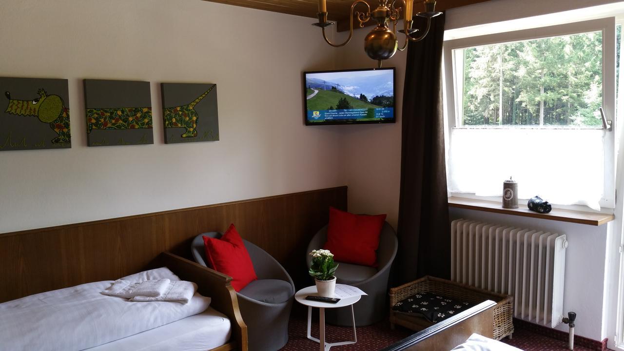 Chalet Amadeus Mayrhofen Zillertal Tirol Exterior photo